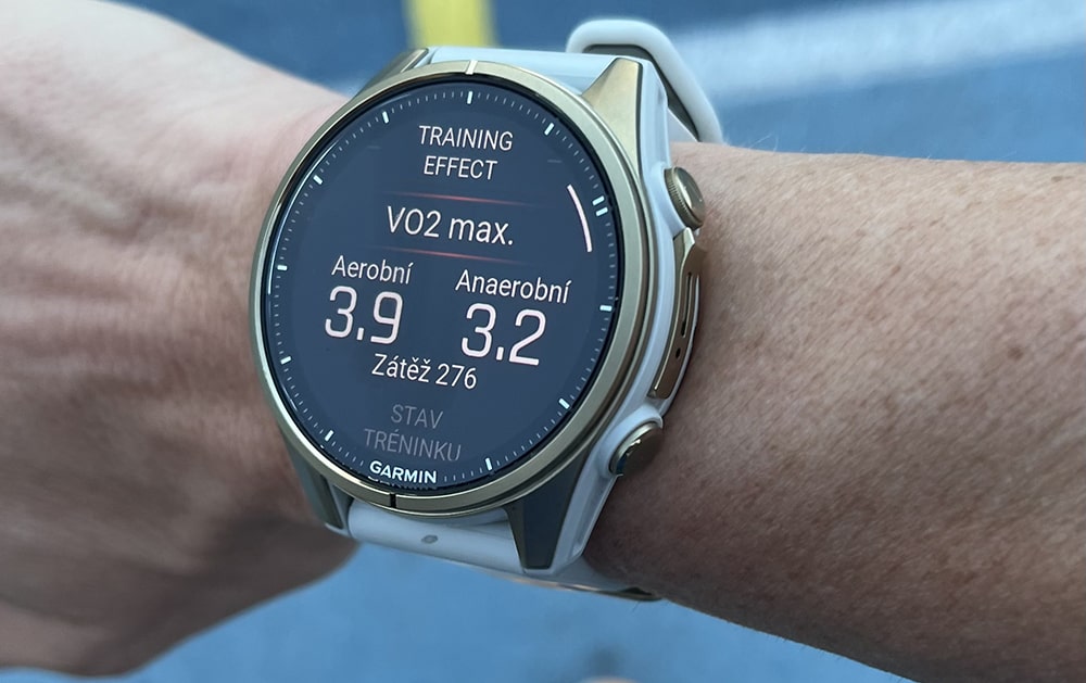 fenix 8 42 mm-2